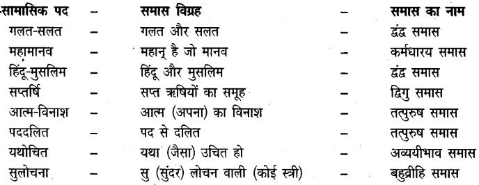 HBSE 10th Class Hindi Solutions Kshitij Chapter 17 संस्कृति 1