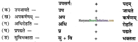 HBSE 10th Class Sanskrit Solutions Shemushi Chapter 3 व्यायामः सर्वदा पथ्यः img-6