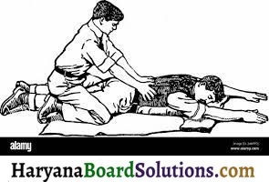 HBSE 9th Class Physical Education Solutions Chapter 8 सुरक्षा शिक्षा तथा प्राथमिक शिक्षा 1
