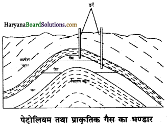 HBSE 8th Class Science Solutions Chapter 5 कोयला और पेट्रोलियम -2