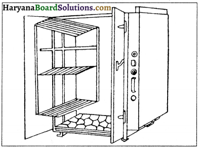 HBSE 10th Class Home Science Solutions Chapter 10 वस्त्रों की देखभाल 6