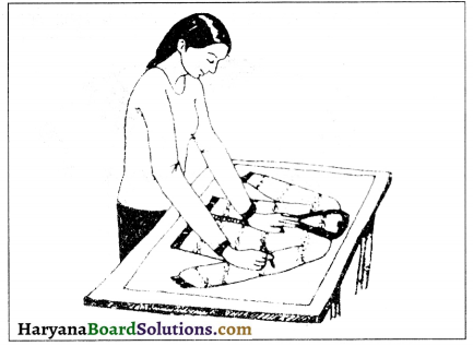 HBSE 10th Class Home Science Solutions Chapter 10 वस्त्रों की देखभाल 8