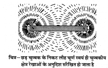 HBSE 10th Class Science Solutions Chapter 13 विद्युत धारा का चुम्बकीय प्रभाव 8