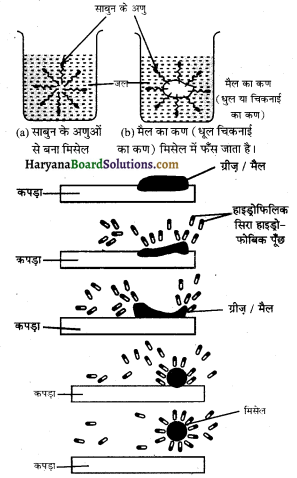 HBSE 10th Class Science Solutions Chapter 4 कार्बन एवं इसके यौगिक 4