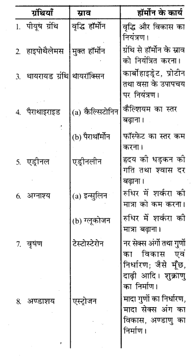HBSE 10th Class Science Solutions Chapter 7 नियंत्रण एवं समन्वय 3