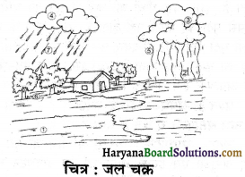 HBSE 7th Class Science Solutions Chapter 16 जल एक बहुमूल्य संसाधन -2
