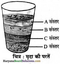 HBSE 7th Class Science Solutions Chapter 9 मृदा -6