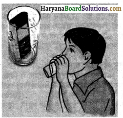 HBSE 8th Class Science Solutions Chapter 13 ध्वनि -5
