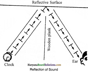 HBSE 9th Class Science Important Questions Chapter 12 Sound - 18