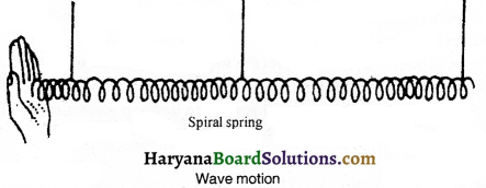 HBSE 9th Class Science Important Questions Chapter 12 Sound - 2
