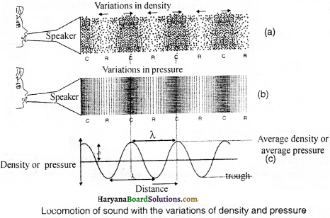 HBSE 9th Class Science Important Questions Chapter 12 Sound - 5
