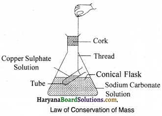 HBSE 9th Class Science Important Questions Chapter 3 Atoms and Molecules - 14