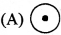 HBSE 9th Class Science Important Questions Chapter 3 Atoms and Molecules - 18