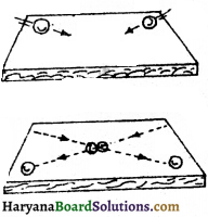 HBSE 9th Class Science Important Questions Chapter 9 Force and Laws of Motion - 5