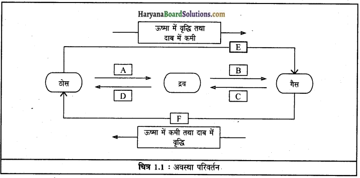 HBSE 9th Class Science Solutions Chapter 1 हमारे आस-पास के पदार्थ img-1