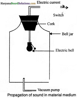 HBSE 9th Class Science Solutions Chapter 12 Sound - 2