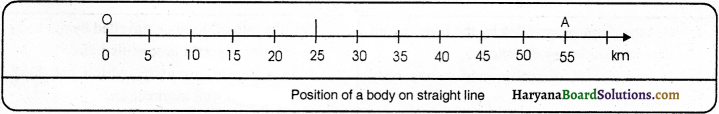 HBSE 9th Class Science Solutions Chapter 8 Motion - 1
