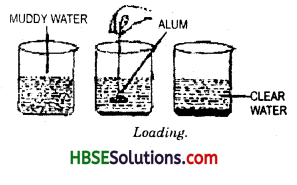 HBSE 6th Class Science Solutions Chapter 5 Separation of Substances 12