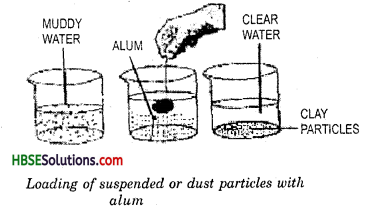 HBSE 6th Class Science Solutions Chapter 5 Separation of Substances 2
