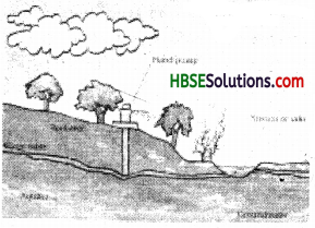 HBSE 7th Class Science Solutions Chapter 16 Water A Precious Resource 1