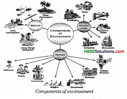 HBSE 7th Class Social Science Solutions Geography Chapter 1 Environment 1