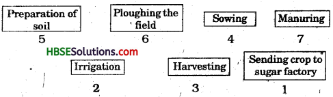 HBSE 8th Class Science Solutions Chapter 1 Crop Production and Management-2