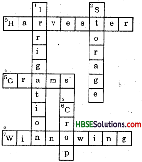 HBSE 8th Class Science Solutions Chapter 1 Crop Production and Management-4