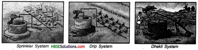 HBSE 8th Class Science Solutions Chapter 1 Crop Production and Management-7