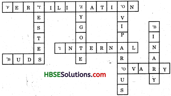 HBSE 8th Class Science Solutions Chapter 9 Reproduction in Animals-2