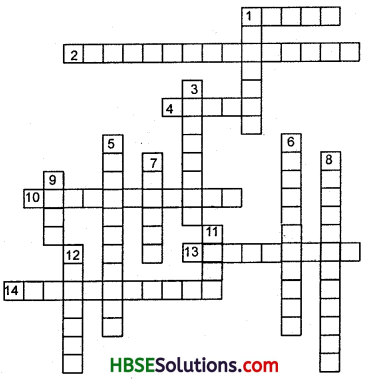 HBSE 8th Class Social Science Solutions Geography Chapter 4 Agriculture 1