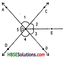 HBSE 7th Class Maths Solutions Chapter 5 Lines and Angles Ex 5.1 5