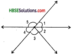 HBSE 7th Class Maths Solutions Chapter 5 Lines and Angles Ex 5.1 6