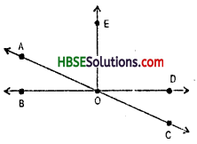 HBSE 7th Class Maths Solutions Chapter 5 Lines and Angles Ex 5.1 9