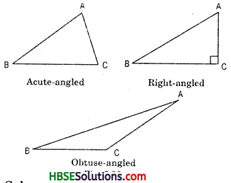 HBSE 7th Class Maths Solutions Chapter 6 The Triangles and Its Properties InText Questions 8