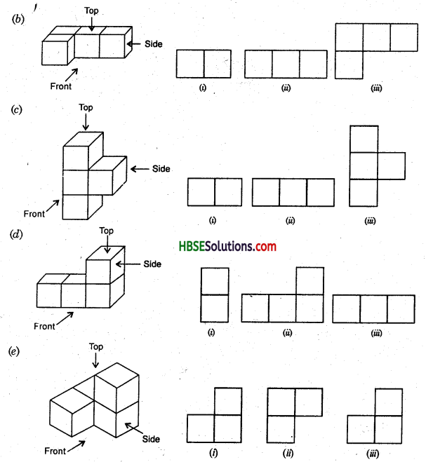 HBSE 8th Class Maths Solutions Chapter 10 Visualizing Solid Shapes Ex 10.1 10