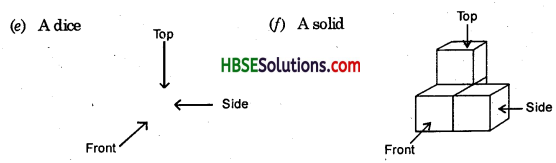 HBSE 8th Class Maths Solutions Chapter 10 Visualizing Solid Shapes Ex 10.1 14