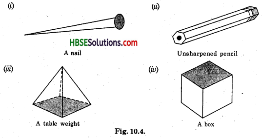 HBSE 8th Class Maths Solutions Chapter 10 Visualizing Solid Shapes Ex 10.3 1