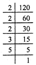 HBSE 8th Class Maths Solutions Chapter 6 Square and Square Roots Ex 6.3 24