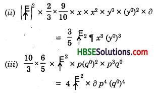 HBSE 8th Class Maths Solutions Chapter 9 Algebraic Expressions and Identities Ex 9.3 3
