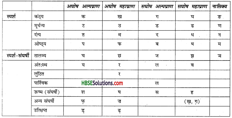 HBSE 6th Class Hindi Vyakaran वर्ण-विचार उच्चारण और वर्तनी-5
