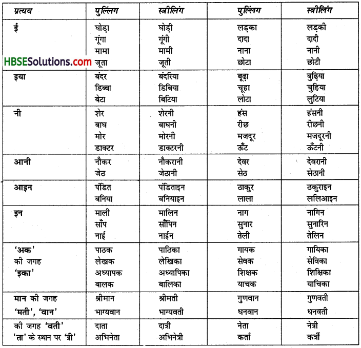 HBSE 6th Class Hindi Vyakaran संज्ञा के विकार-1