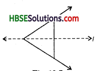 HBSE 6th Class Maths Solutions Chapter 13 Symmetry Ex 13.1 6