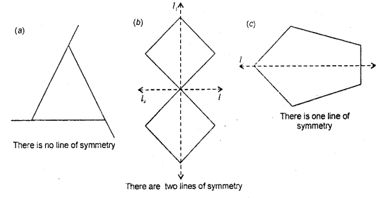 HBSE 6th Class Maths Solutions Chapter 13 Symmetry Ex 13.2 11