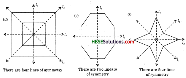 HBSE 6th Class Maths Solutions Chapter 13 Symmetry Ex 13.2 12