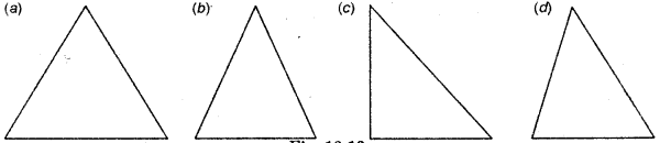 HBSE 6th Class Maths Solutions Chapter 13 Symmetry Ex 13.2 3