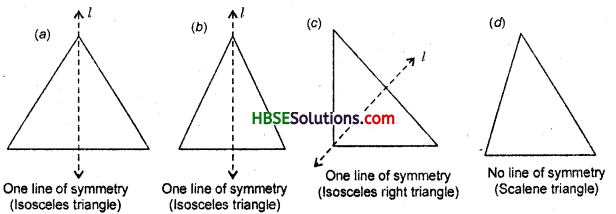HBSE 6th Class Maths Solutions Chapter 13 Symmetry Ex 13.2 4