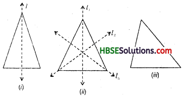 HBSE 6th Class Maths Solutions Chapter 13 Symmetry Ex 13.2 8
