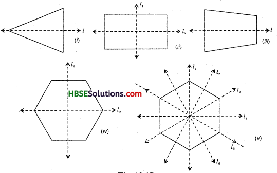 HBSE 6th Class Maths Solutions Chapter 13 Symmetry Ex 13.2 9