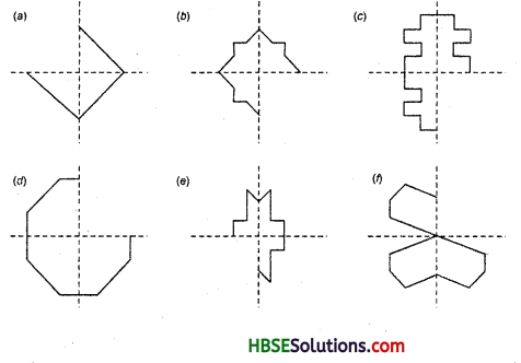 HBSE 6th Class Maths Solutions Chapter 13 Symmetry Ex 13.3 4