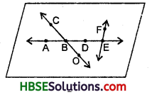 HBSE 6th Class Maths Solutions Chapter 4 Basic Geometrical Ideas Ex 4.1 4